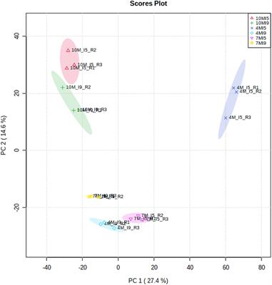 Proteomics Reveals an Increase in the Abundance of Glycolytic and Ethanolic Fermentation Enzymes in Developing Sugarcane Culms During Sucrose Accumulation